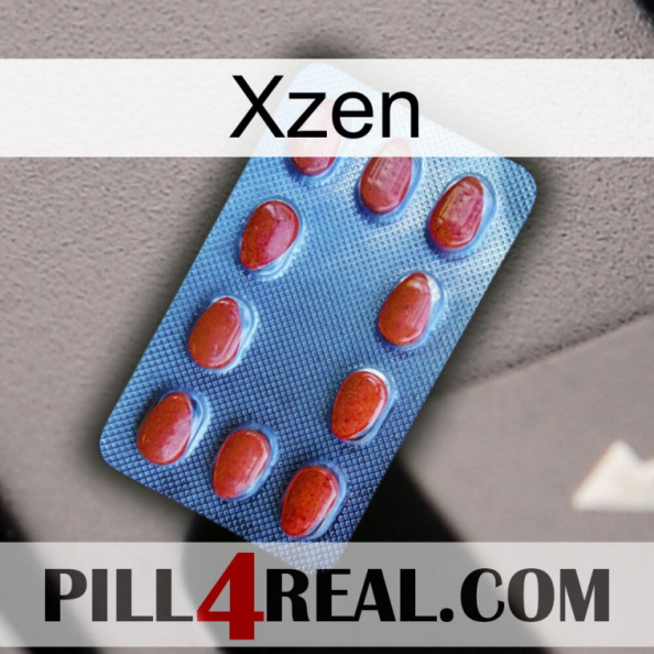 Xzen 06.jpg